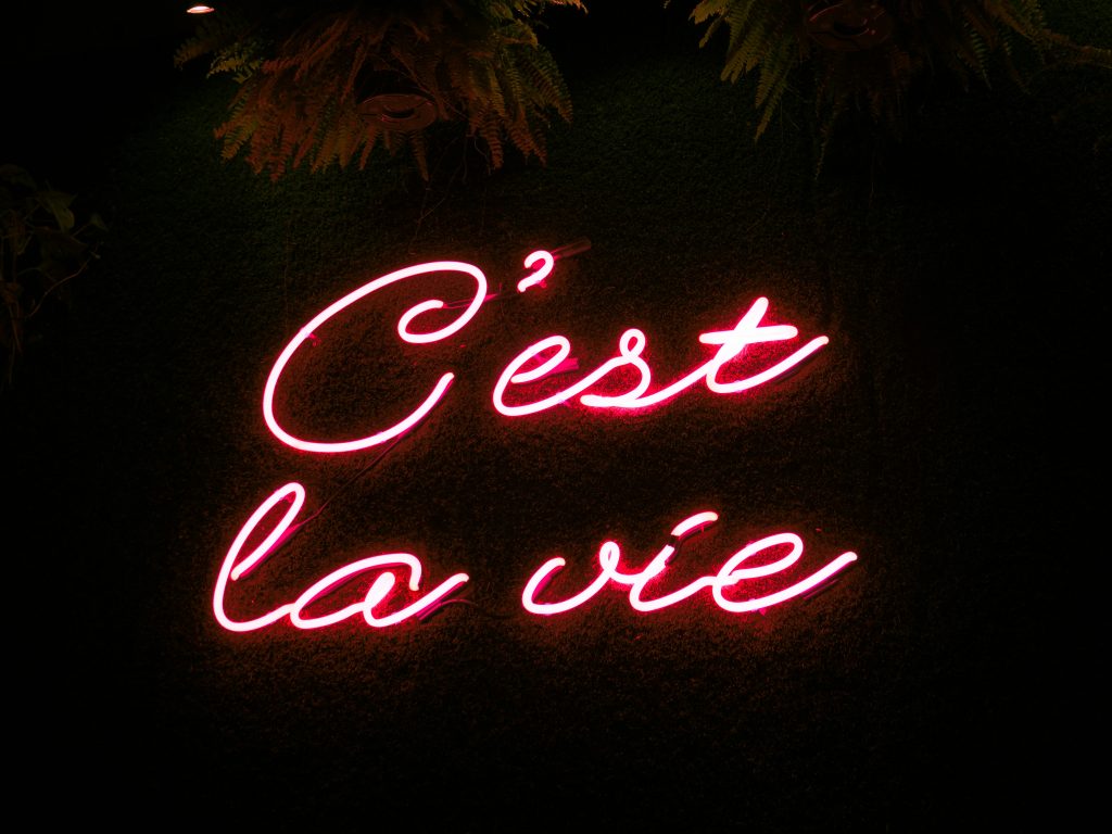 Cest la vie neon lamp