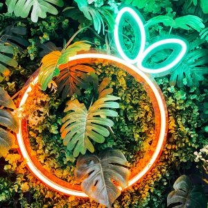 Neon lamp sinasappel - creatief LED neon fruit design