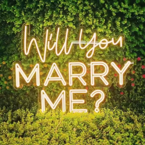 Will you marry me neon lamp